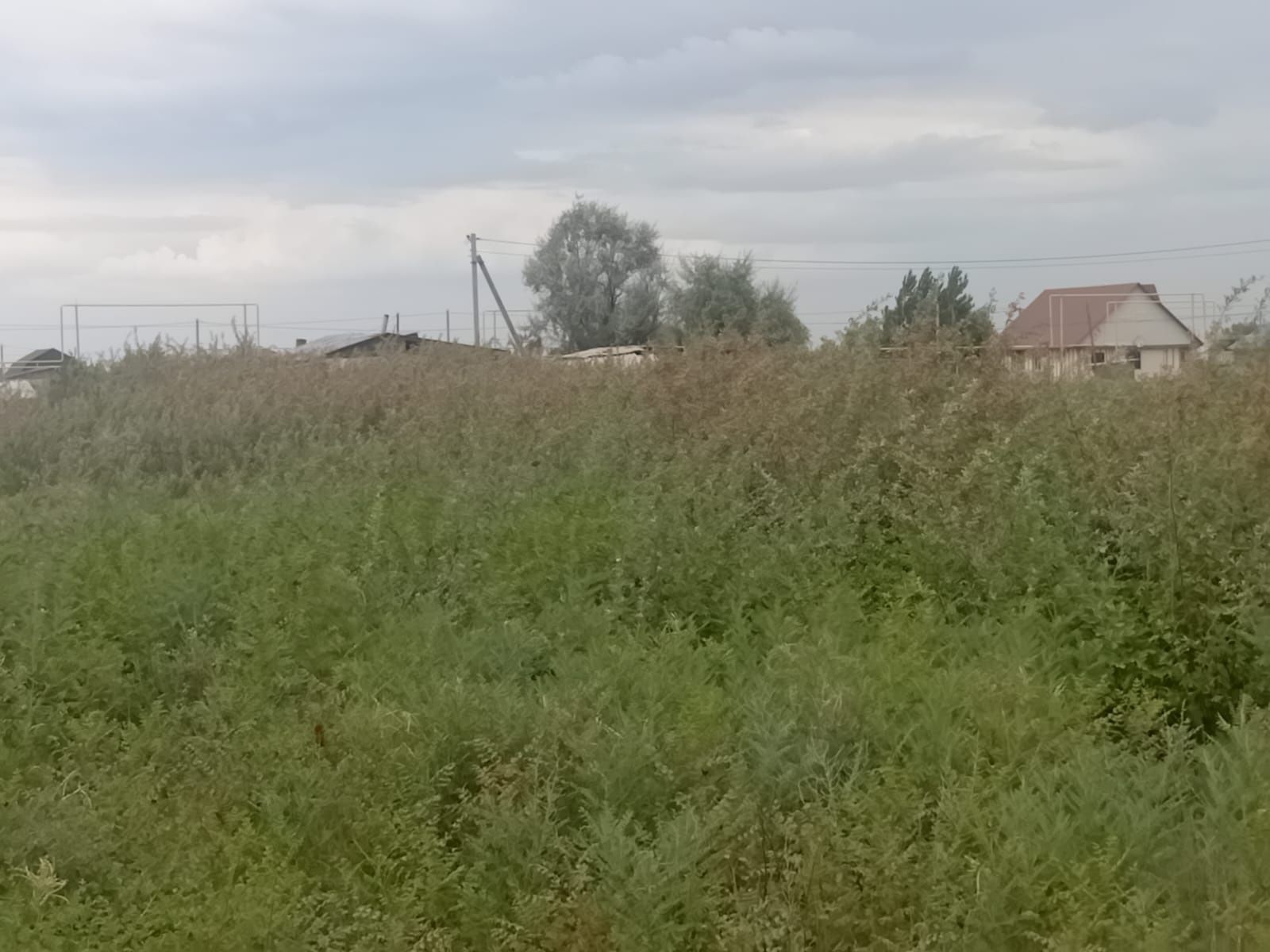 Продам участок земли в селе Еламан