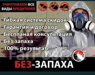 Дезинфекция клопов тараканов муравей