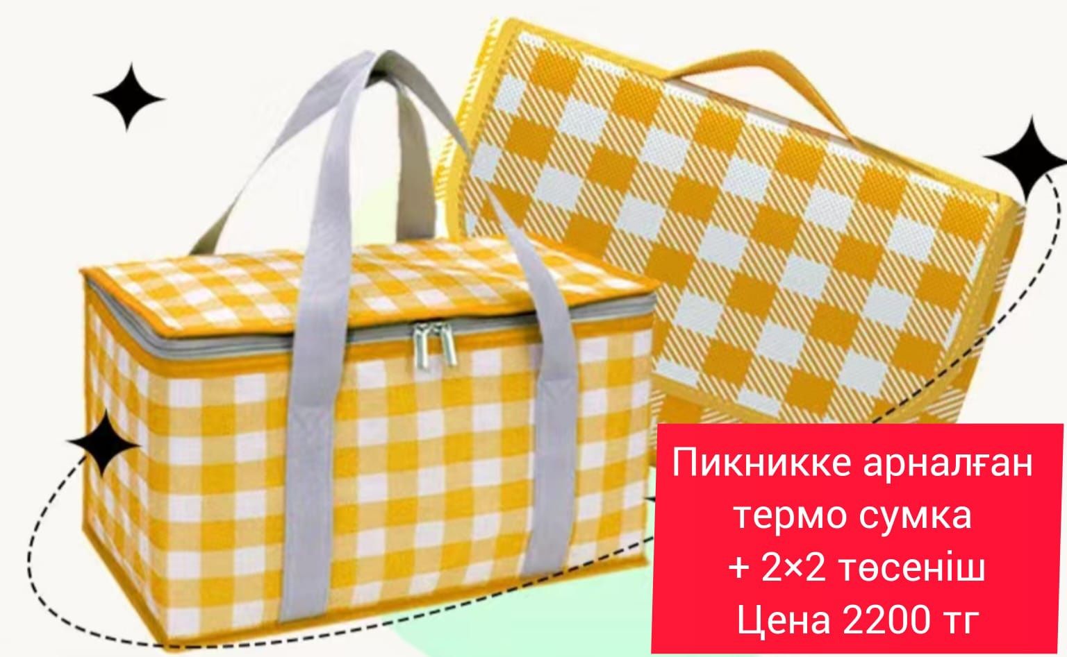 Пикникке арналған термосөмке