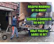 Whatsap Доступен 24/7