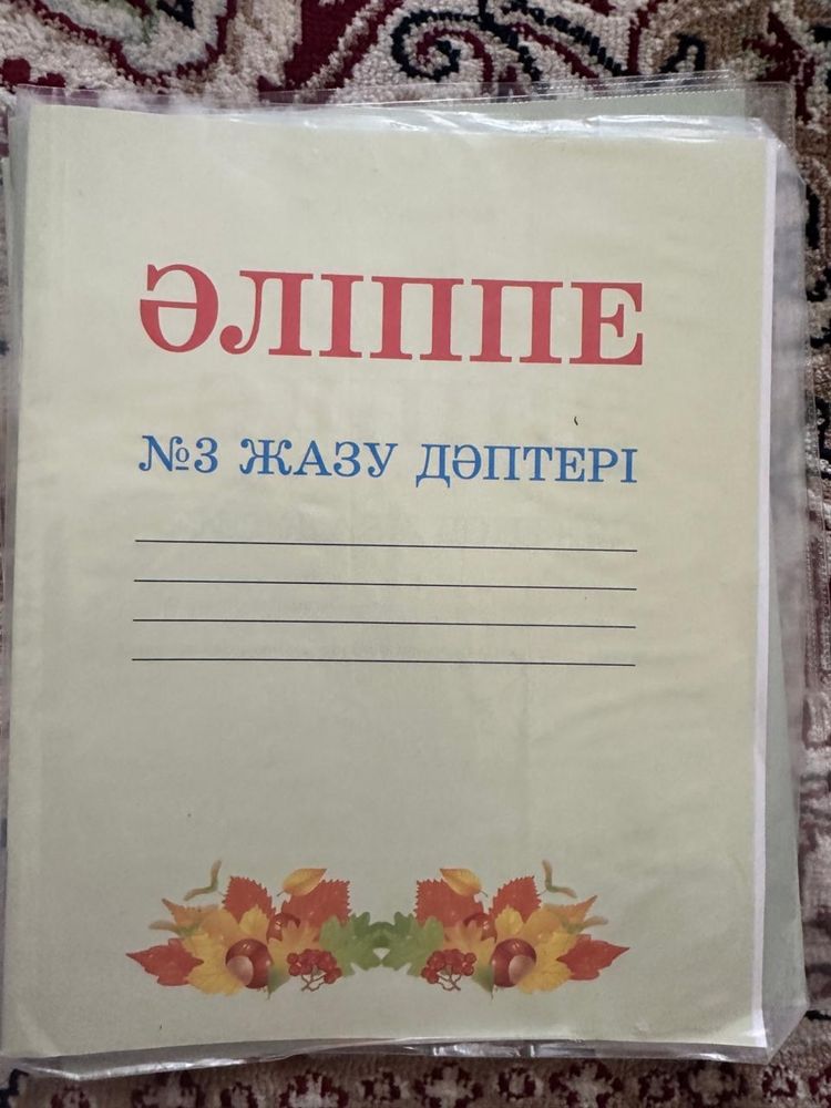 Рабочие тетради для 1 кл казахской школы