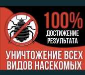 Дезинфекция клопов тараканов