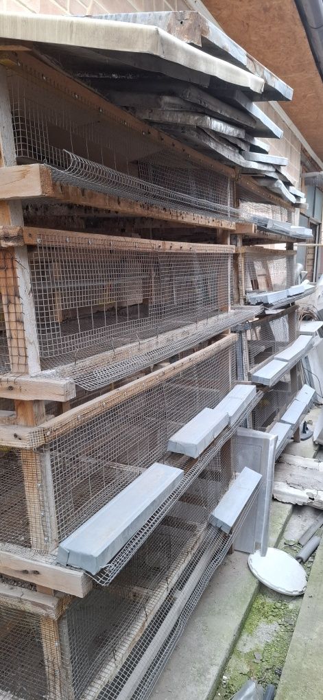 Клетки для перепелов