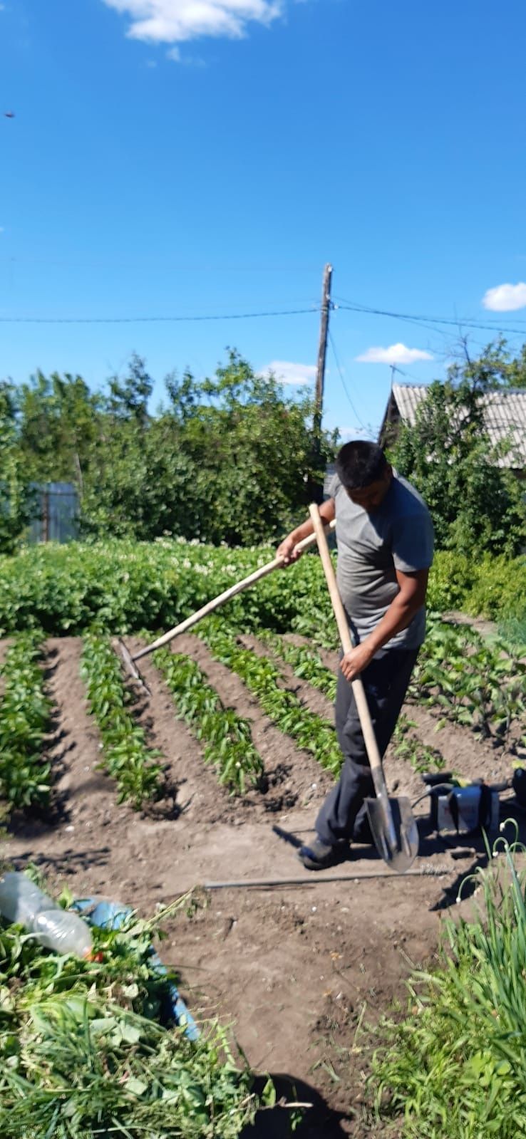 Продаётся цена 470000 торг