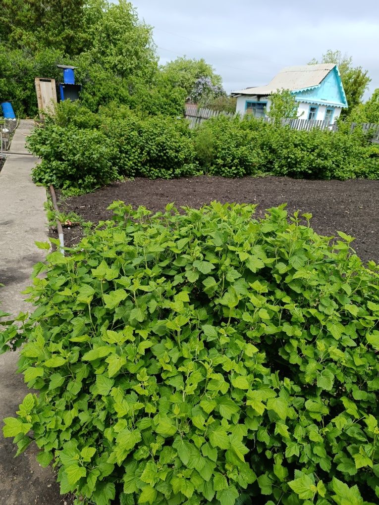 Продам классную дачу в которой можно жить весь сезон.