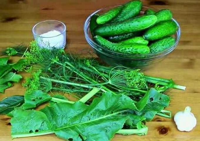 Укроп и листья хрена