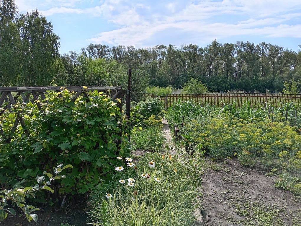 Продам дом в старой Согре