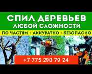 Спилить дерево, спилить сухостой, спилить ветки