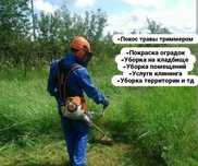 Услуги покоса травы