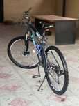 Trinx m500.