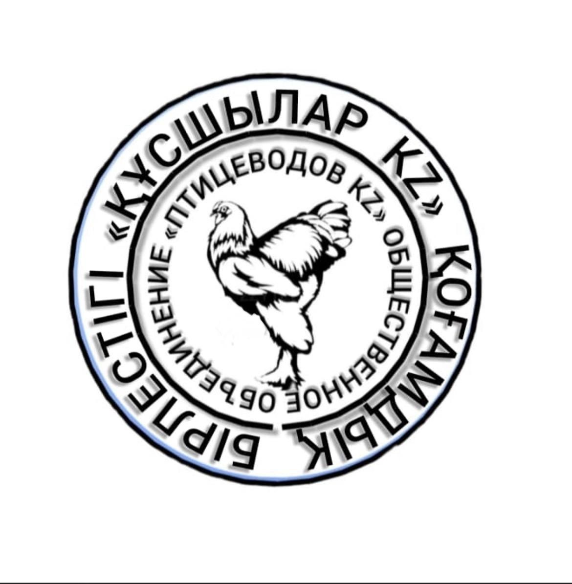 Продам японский петух карликовые, қораз