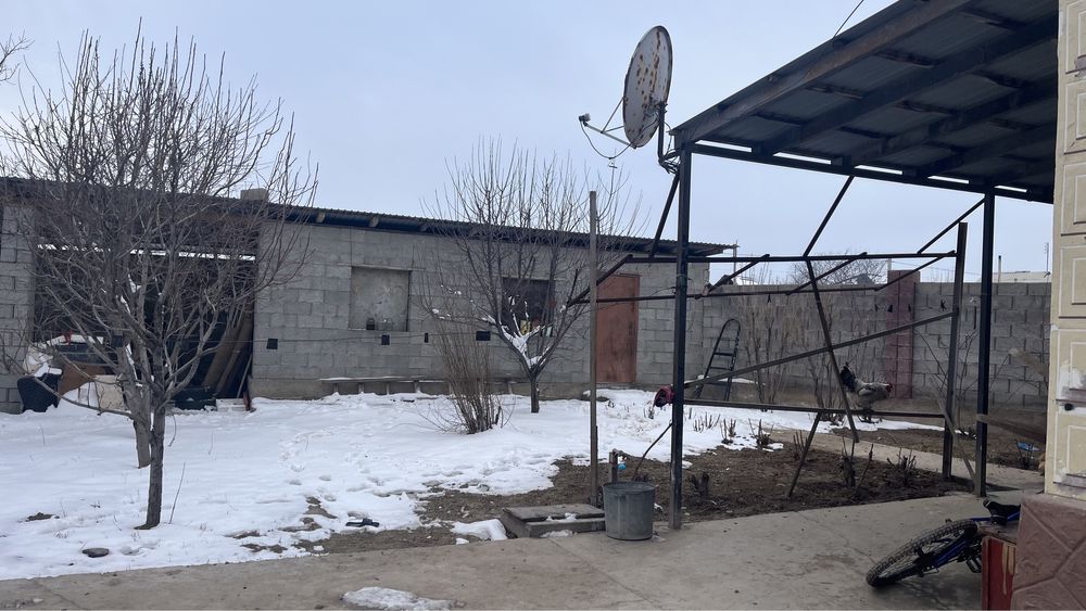 Шубарсуда уй сатылады .