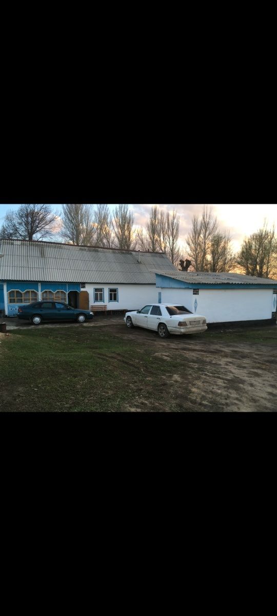Продаётся дом, яблоневый сад, фазенда!!