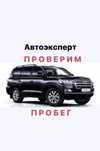 Автоподбор автоэксперт проверка толщиномером диагностика авто