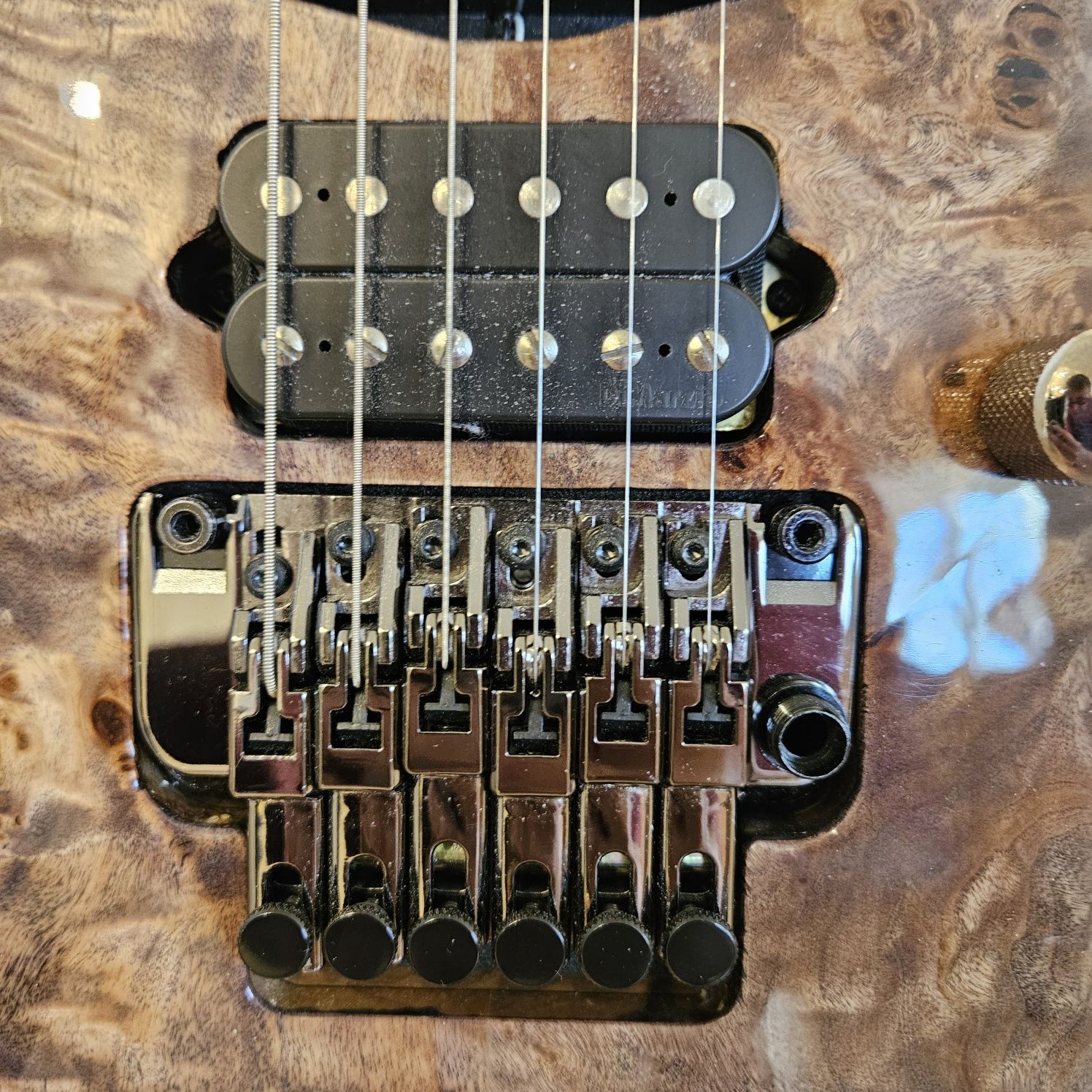 Ibanez rg1070pbz