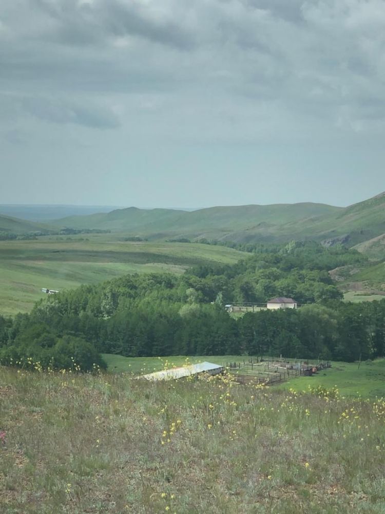 Крестьянское хозяйство