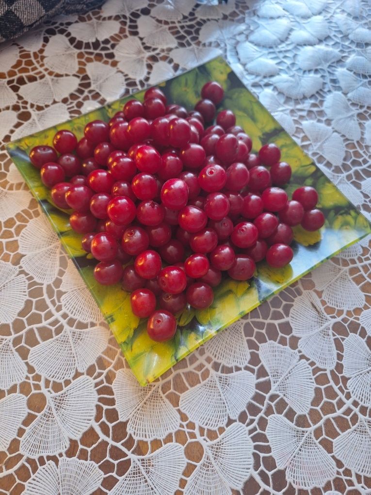 Вишня домашняя ,с дерева