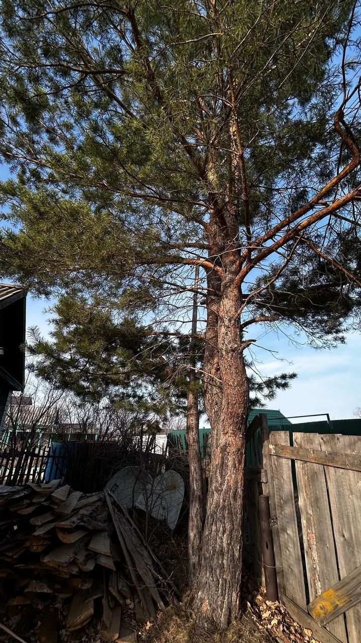 Продам дачу СО ГЕОЛОГ