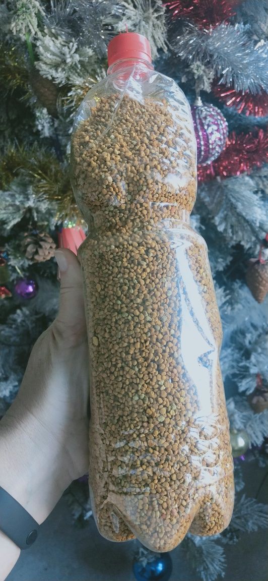 Мёд курай жантак