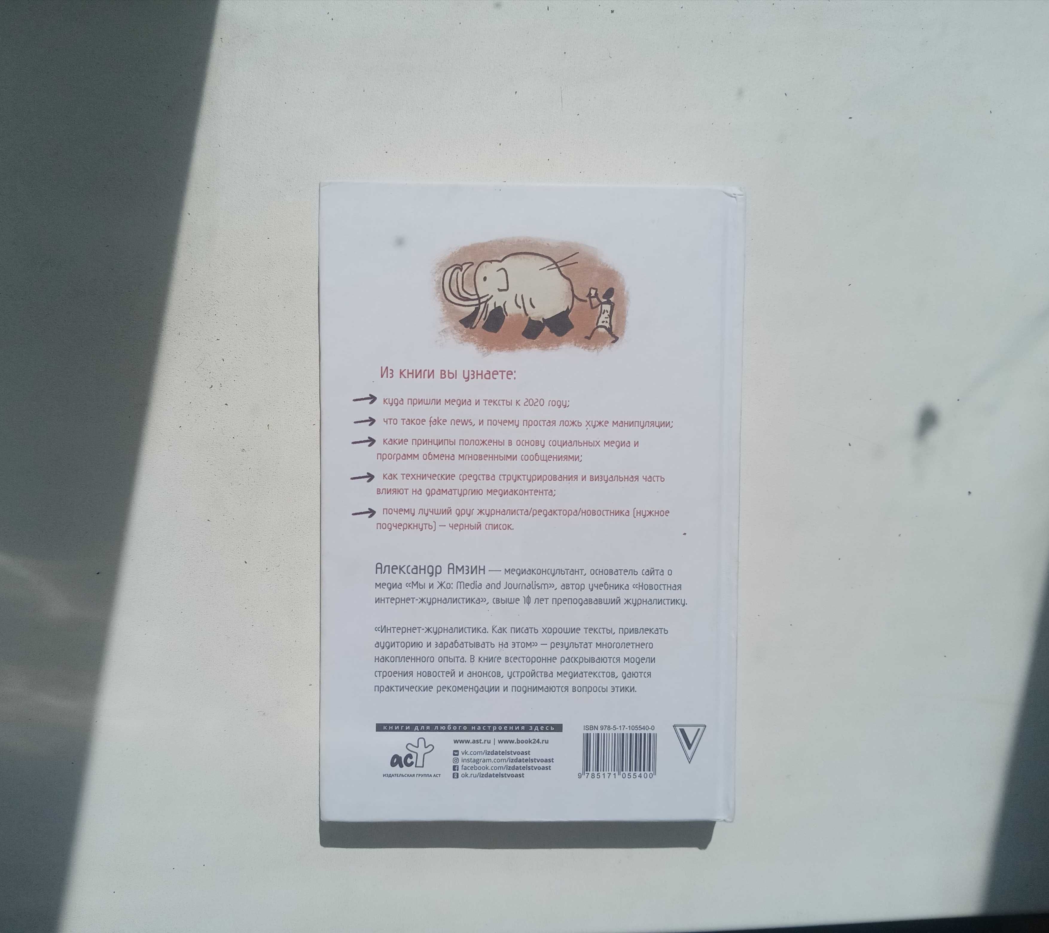 Книга Александра Амзина "Интернет-журналистика"