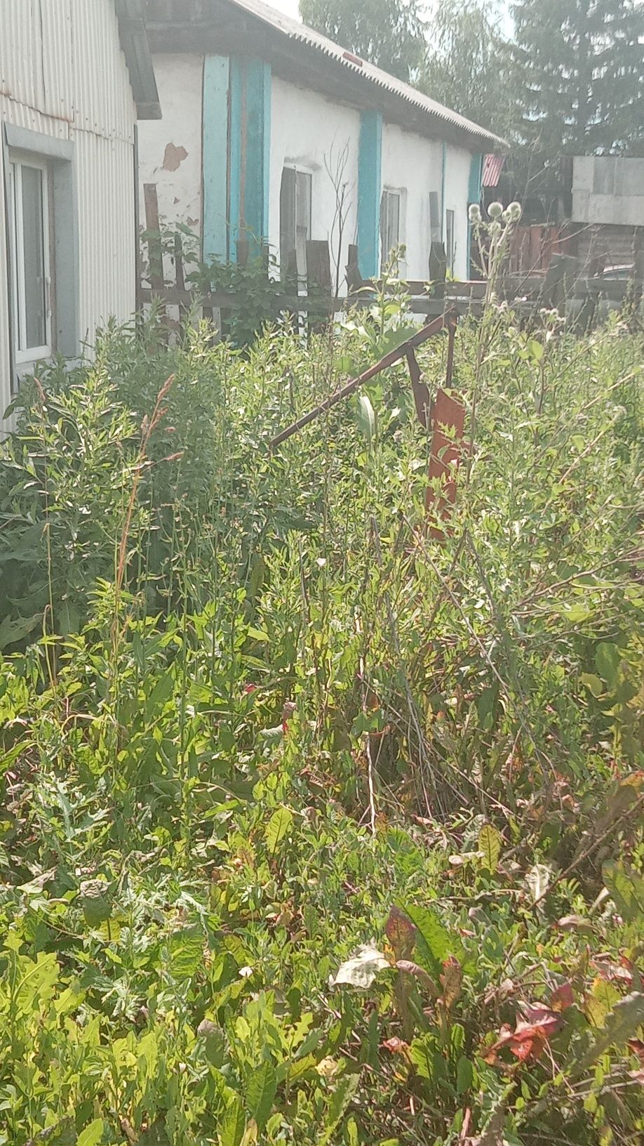 Продам дачу зимний вариант