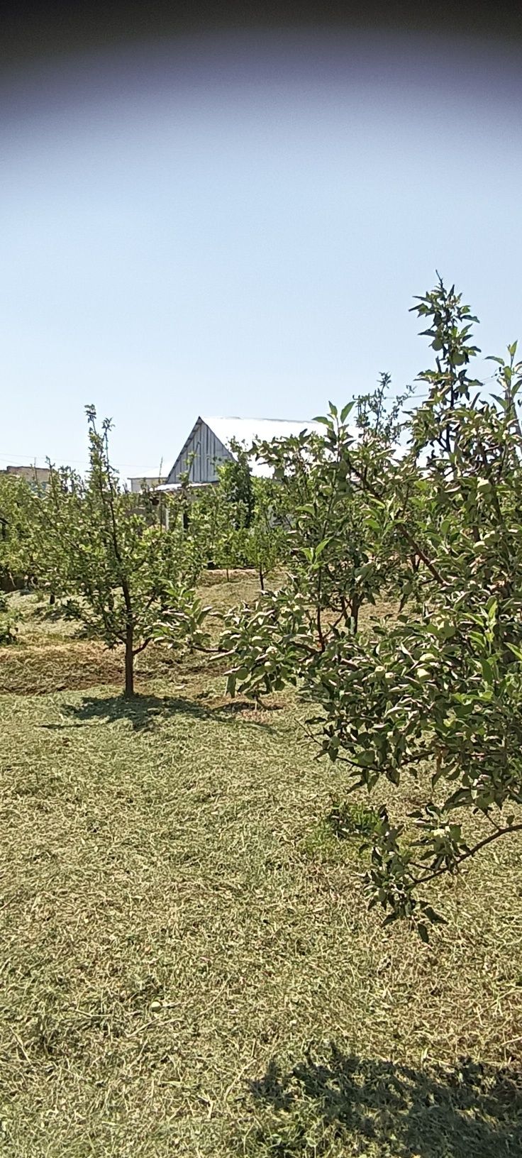 Продам 2 участка по 8 соток.  Цена 6,5 млн.тг за каждый