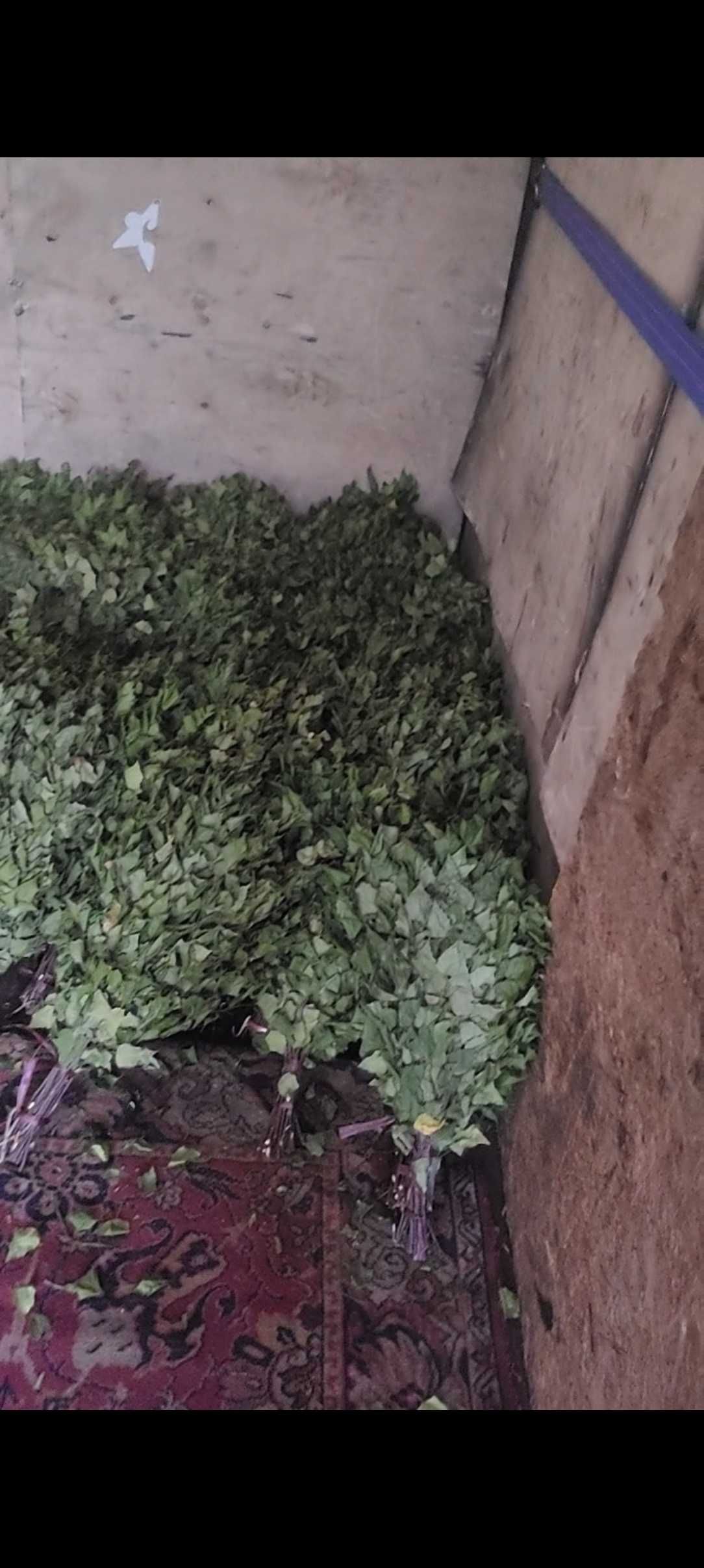 Продам Березавые веники есть масло пихтовое