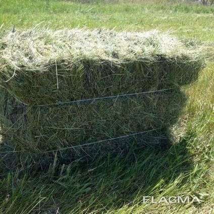 продам сено тюкованное