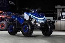 Квадроцикл Sharmax 180 Cross RX
