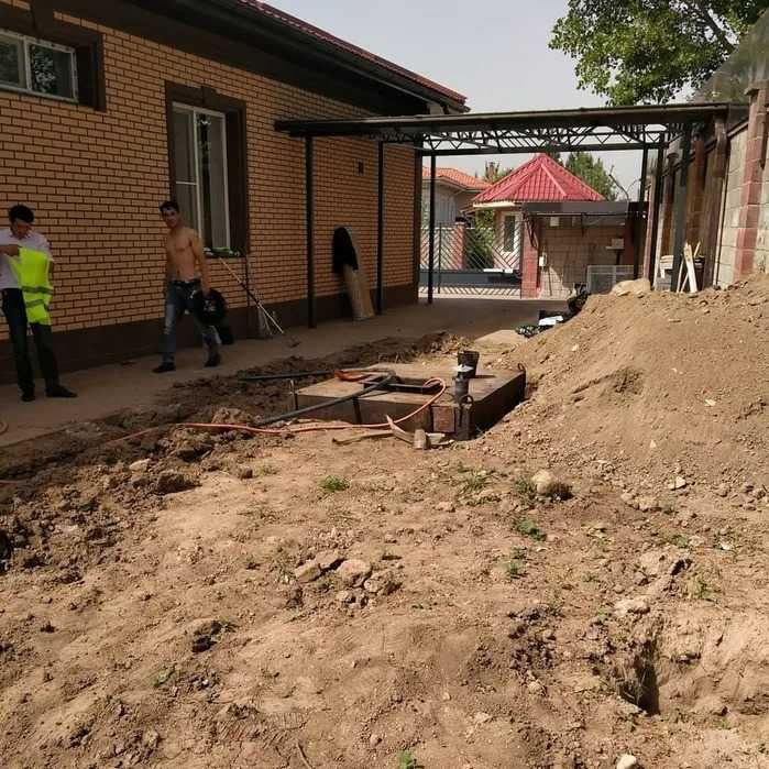 Газона С ГАРАНТИЕЙ Розы саженцы роз в горшках Кустовые саженцы Семена