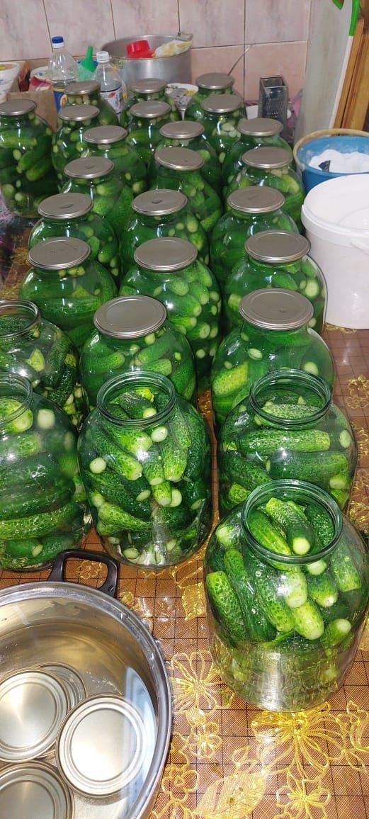 Продаю домашние вкусные соленья, всё с огорода