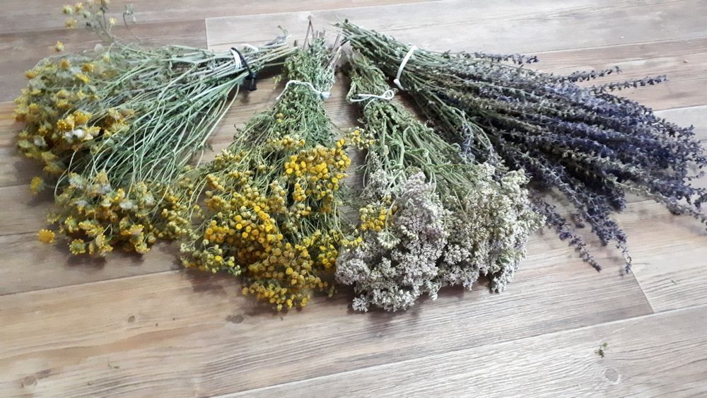 Чабрец и другие лекарственные травы