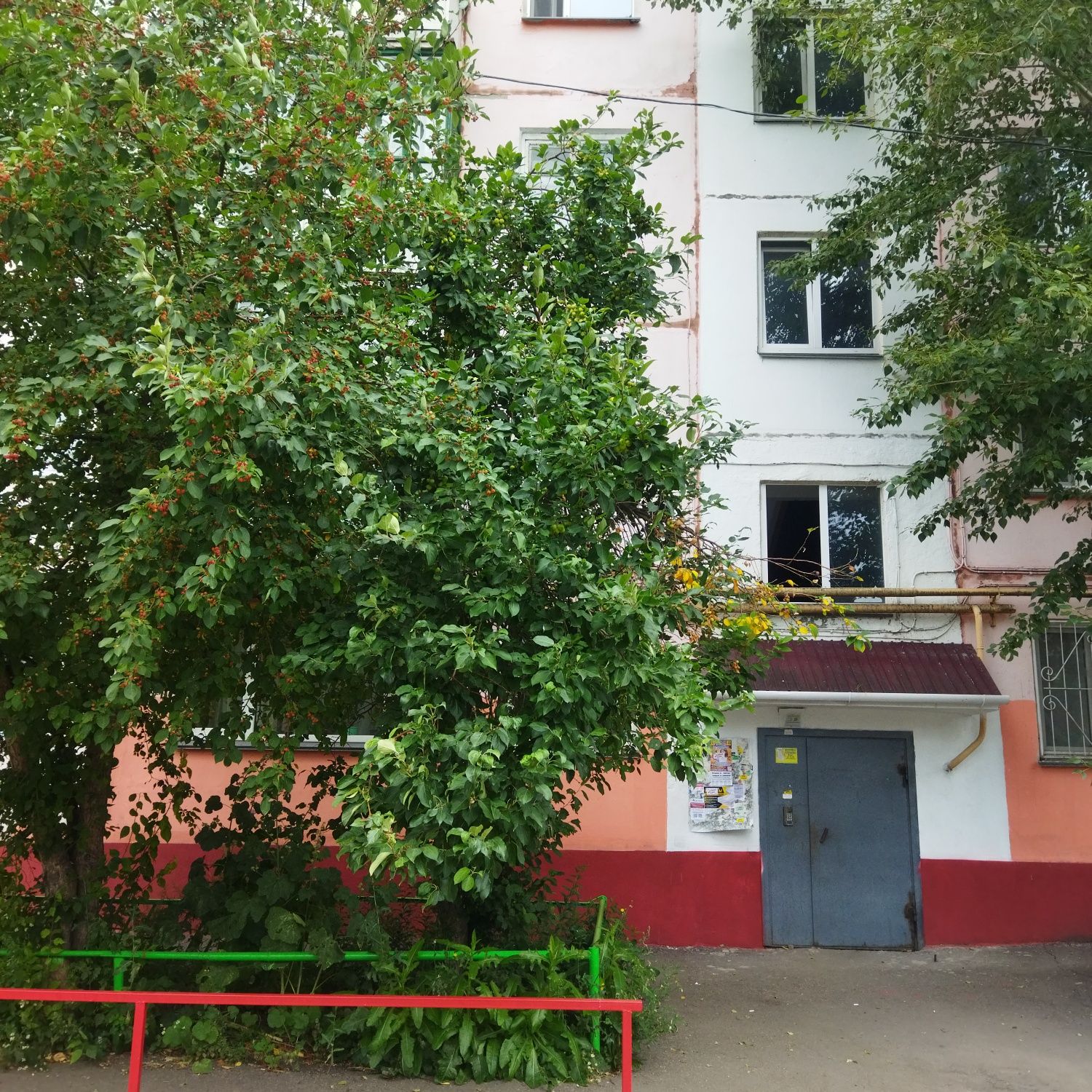 1кв , район "маг Берёзка","Тайга"