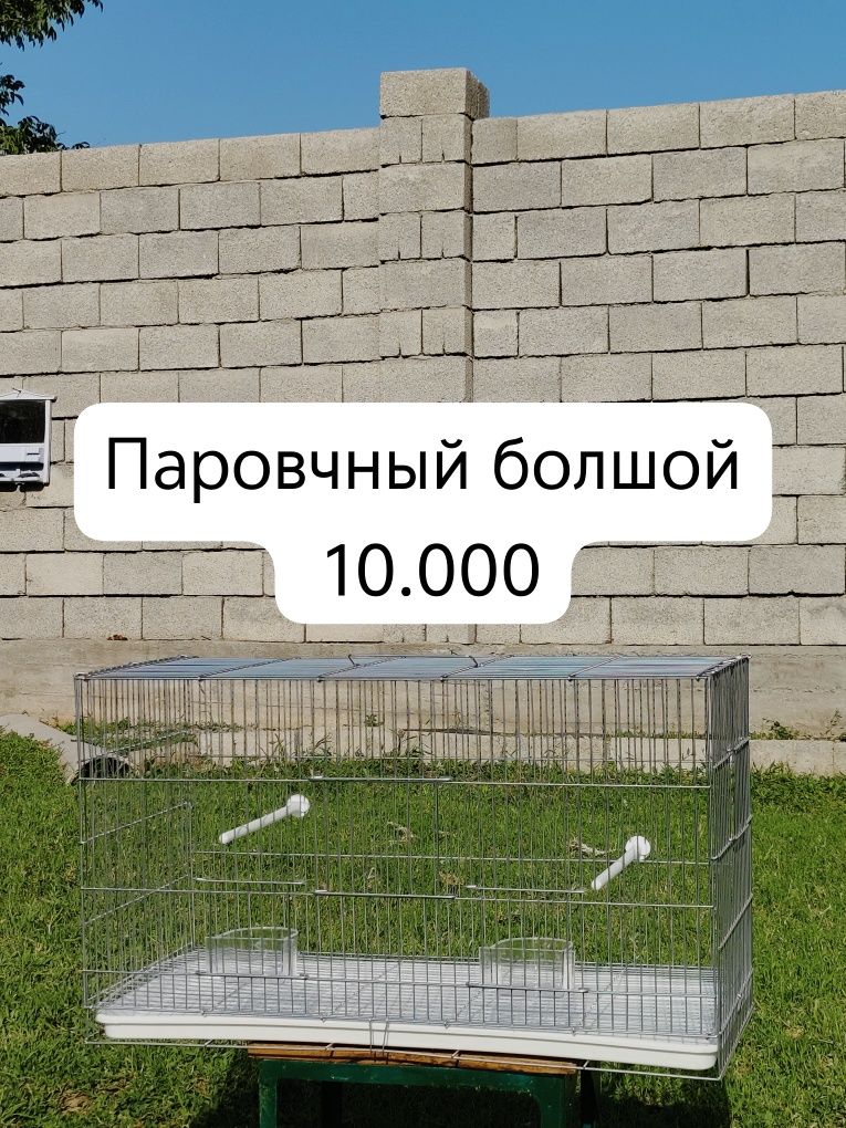 Попугай волнистый, карелла, амадин, неразлучник,