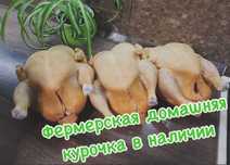 Домашняя курочка