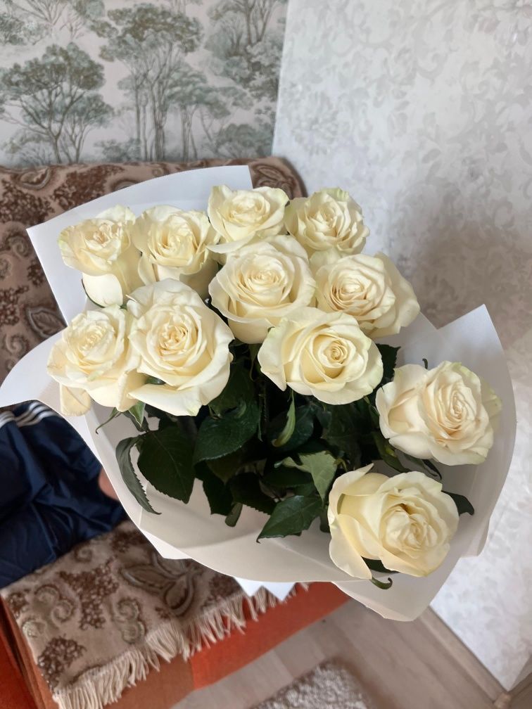 Роза цветы срочно продам
