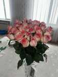 Продаю розы свежи