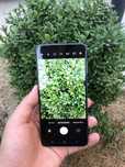 Samsung s21 fe 120 грц  мощный игровой  обмен жасаймын даплата қосам