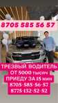 Трезвый водитель