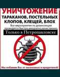 Произвожу обработку от всех видов насикомых