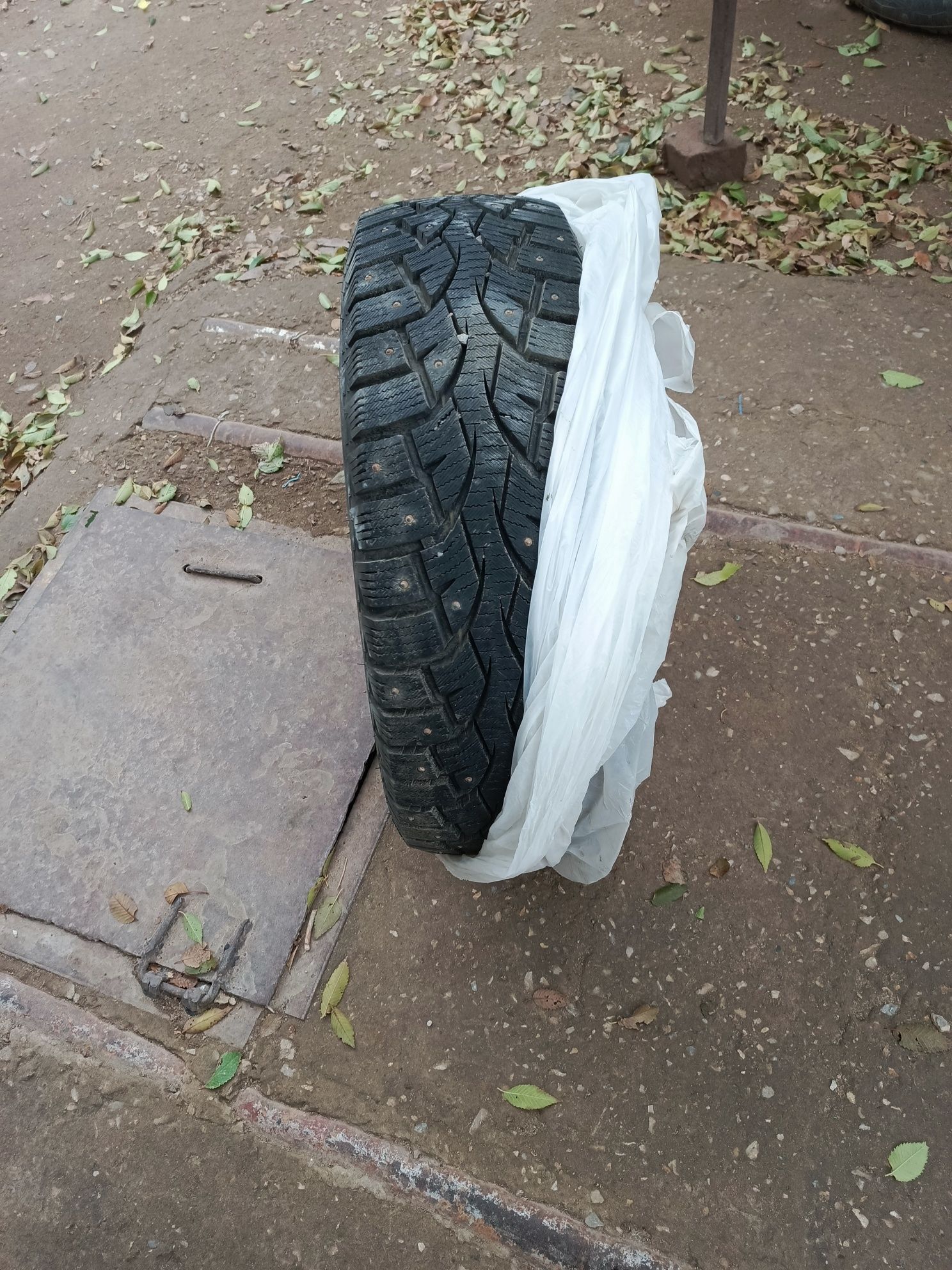 Продам покрышка зимная