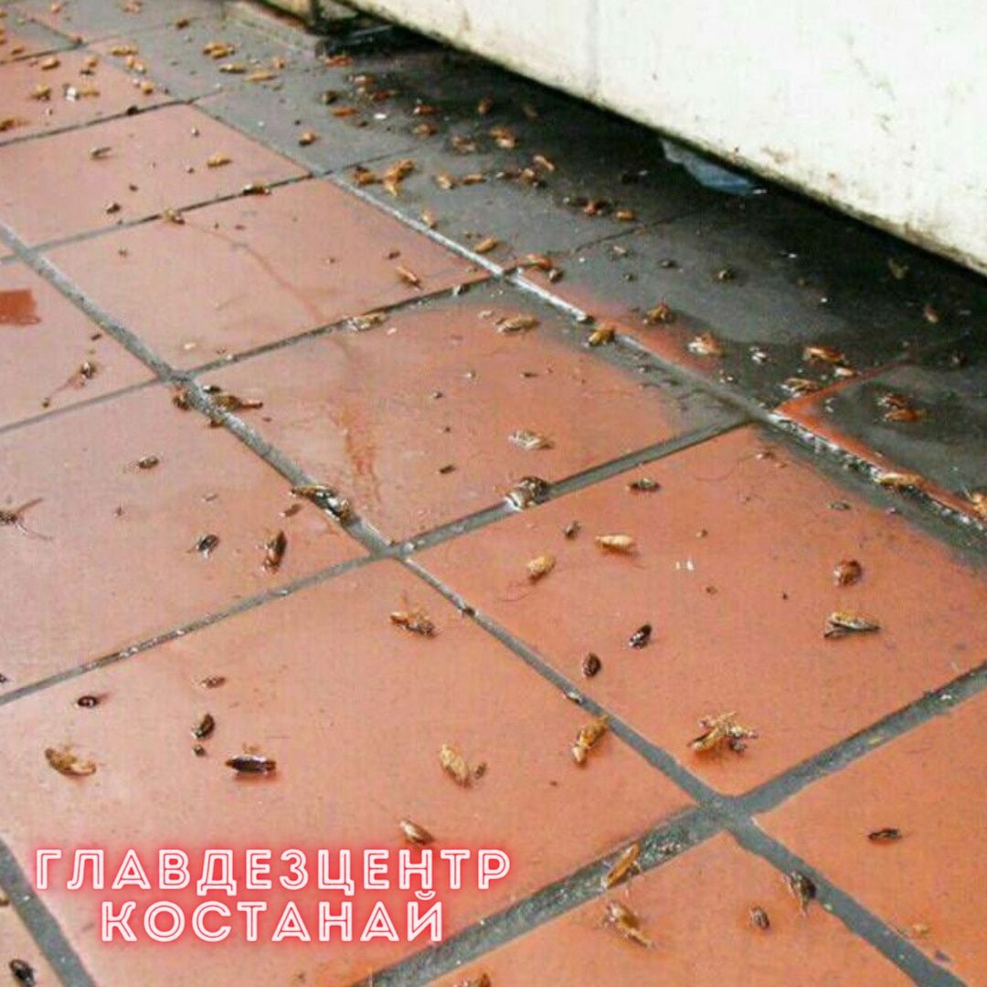Частная СЭС | Обработка от НАСЕКОМЫХ