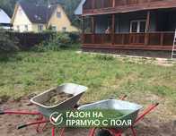Бесплатный замер + рулонный газон от 2300 тг