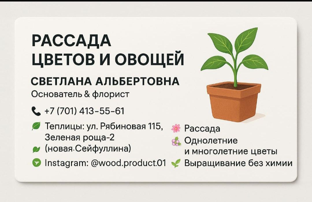 Продажа рассады овощей и цветов однолеток, многолеток
