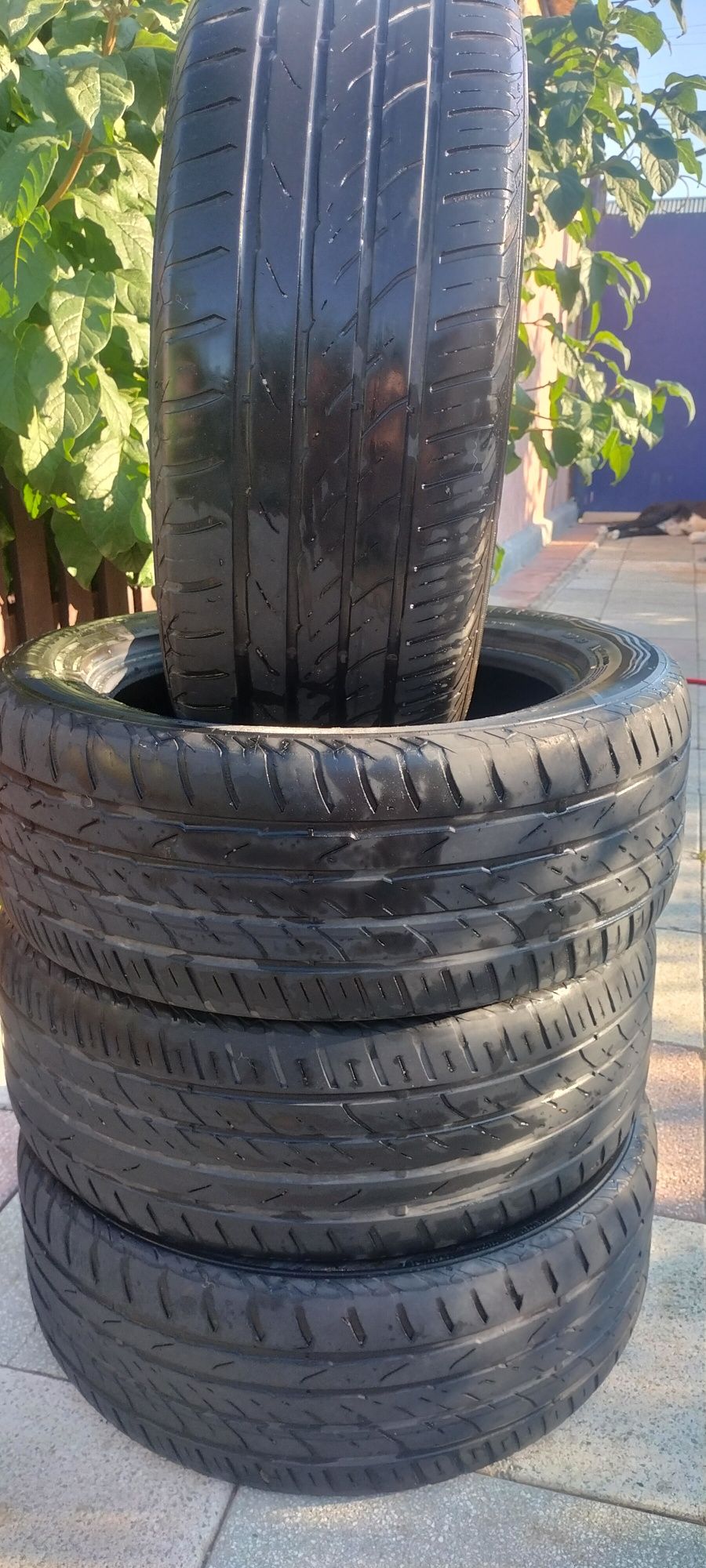 225/55 R17 Matador