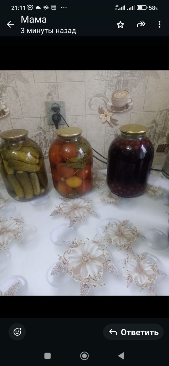Продам засолку 2024 г