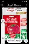 продам рассаду помидор