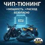 Прошивка ЧИП-тюнинг: Мотоциклы Гидроциклы Квадроциклы Снегоходы Катера