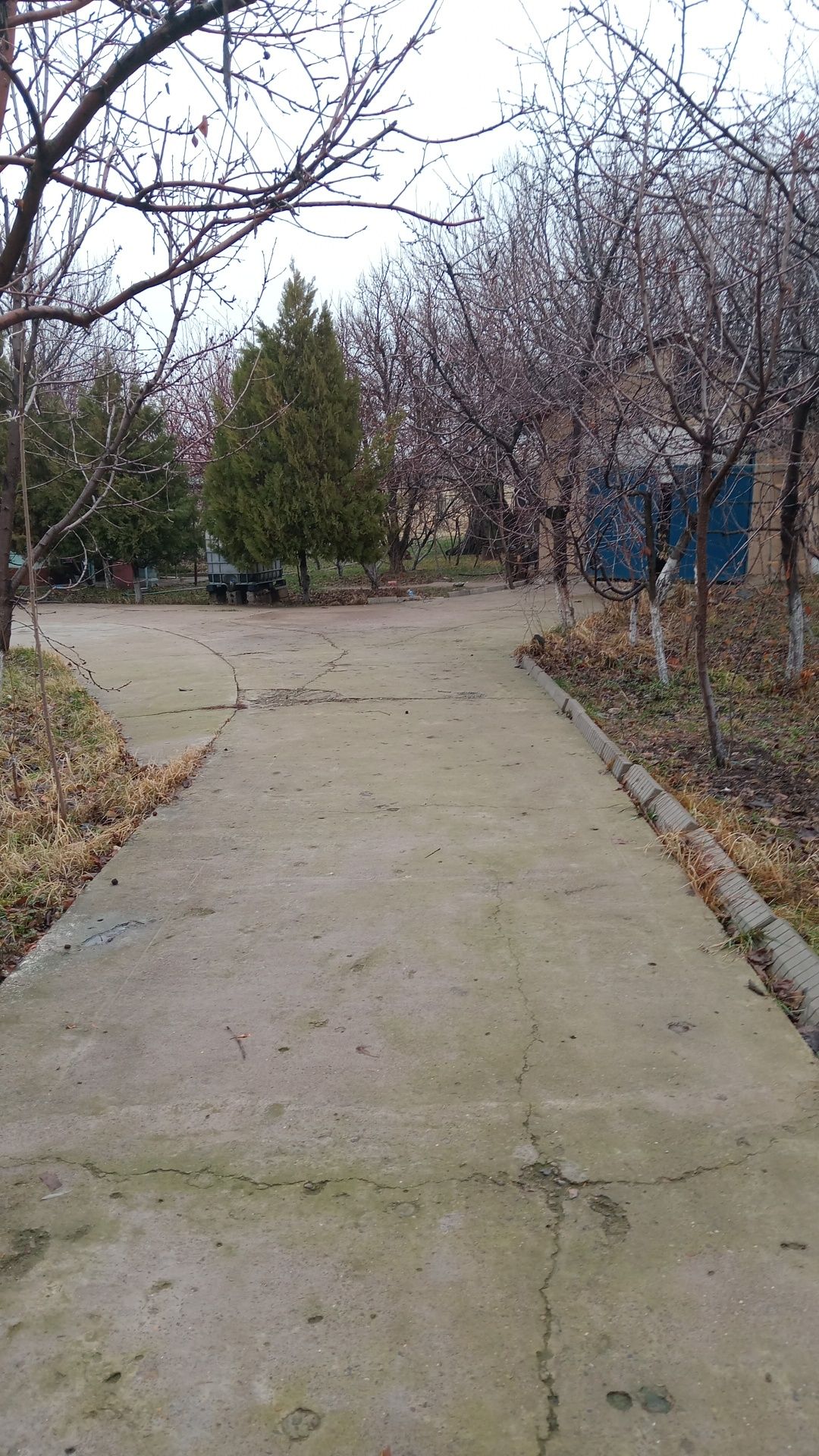 Продаётся частный дом, с большим участком, в Черняевке, еврафут