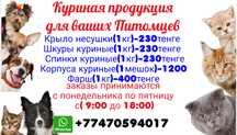 Куриная продукция для ваших животных